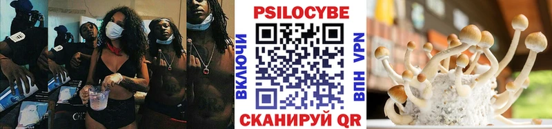 Псилоцибиновые грибы Magic Shrooms  даркнет сайт  Северобайкальск 